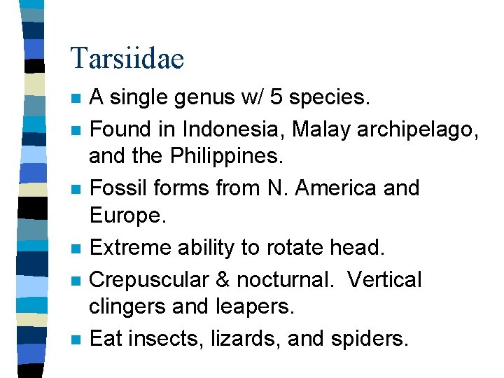 Tarsiidae n n n A single genus w/ 5 species. Found in Indonesia, Malay