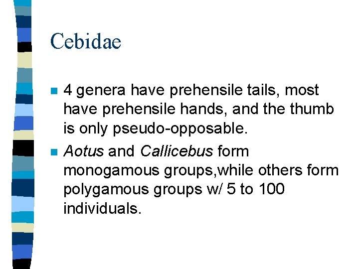 Cebidae n n 4 genera have prehensile tails, most have prehensile hands, and the