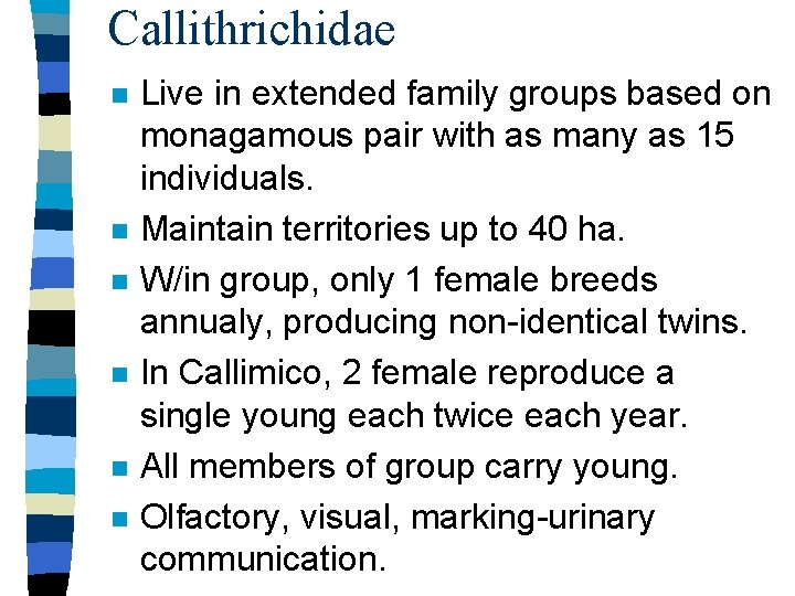 Callithrichidae n n n Live in extended family groups based on monagamous pair with