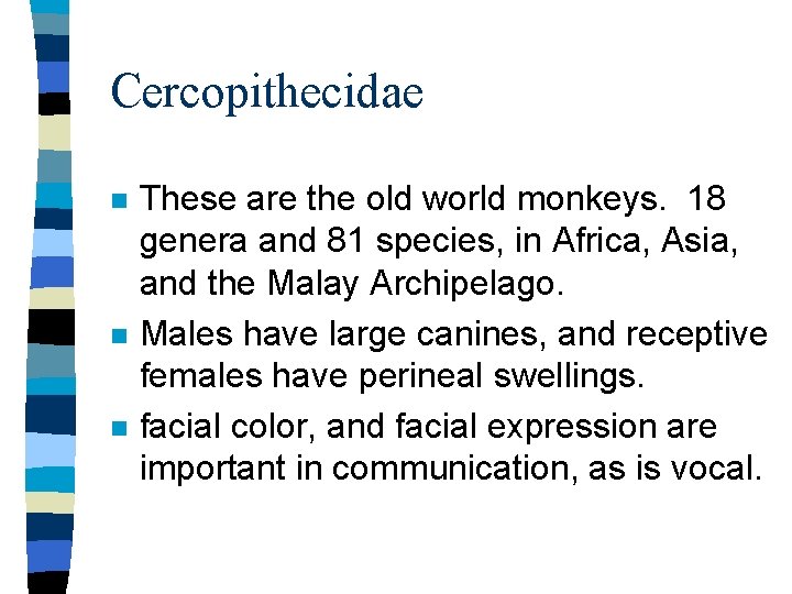 Cercopithecidae n n n These are the old world monkeys. 18 genera and 81