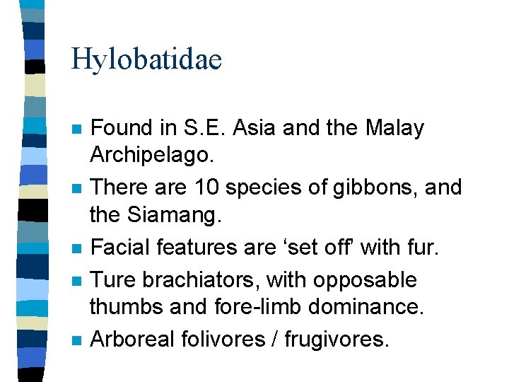 Hylobatidae n n n Found in S. E. Asia and the Malay Archipelago. There