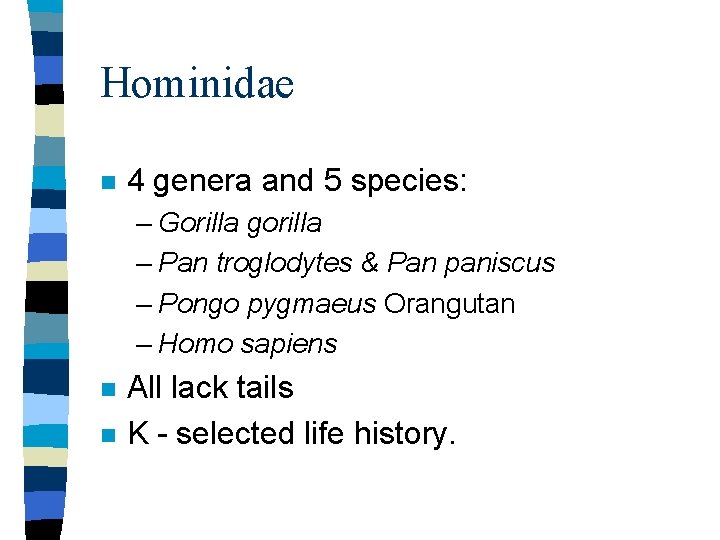 Hominidae n 4 genera and 5 species: – Gorilla gorilla – Pan troglodytes &