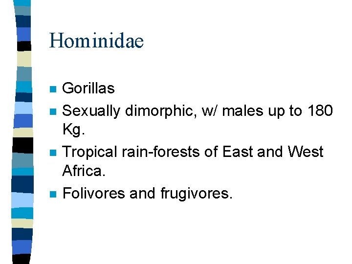 Hominidae n n Gorillas Sexually dimorphic, w/ males up to 180 Kg. Tropical rain-forests