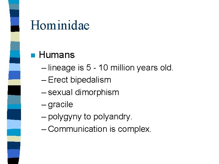 Hominidae n Humans – lineage is 5 - 10 million years old. – Erect