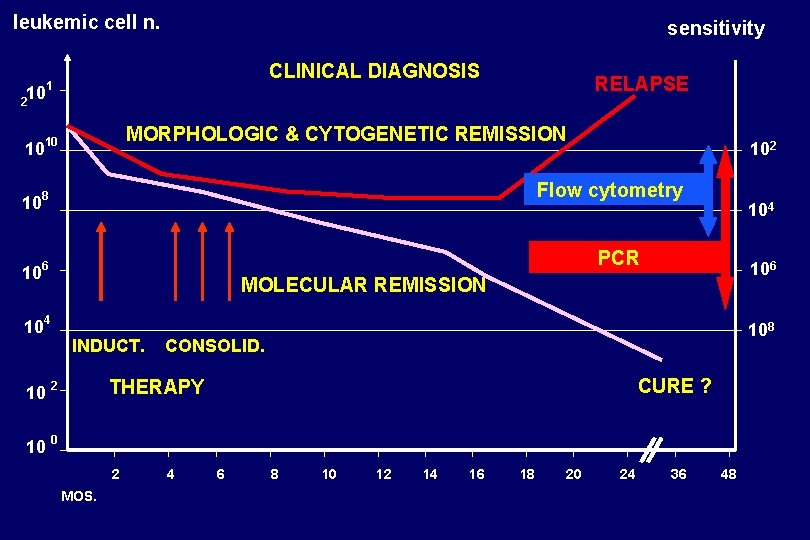 leukemic cell n. 10 2 sensitivity CLINICAL DIAGNOSIS 1 RELAPSE MORPHOLOGIC & CYTOGENETIC REMISSION