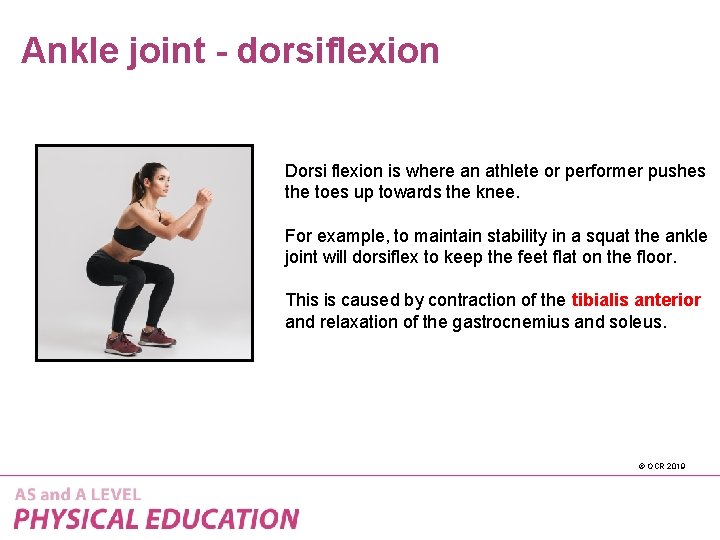 Ankle joint - dorsiflexion Dorsi flexion is where an athlete or performer pushes the