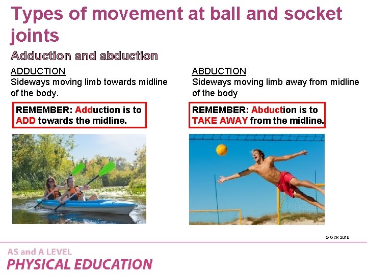 Types of movement at ball and socket joints Adduction and abduction ADDUCTION Sideways moving