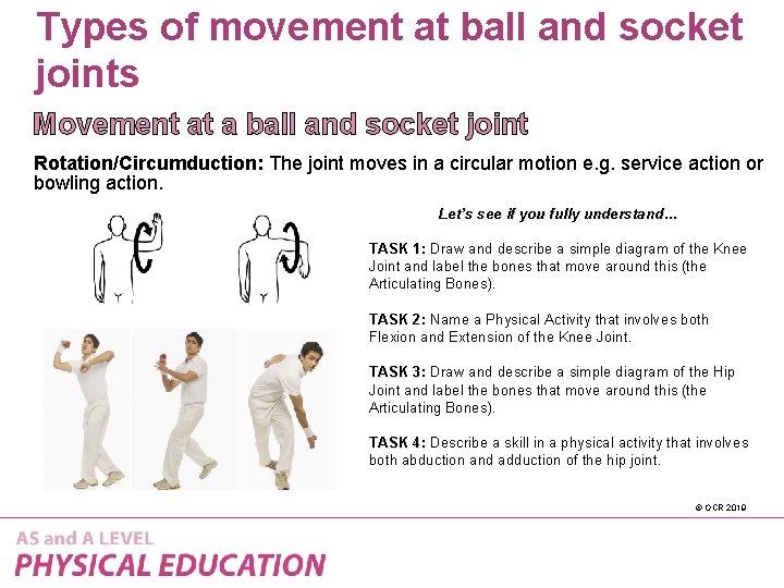 Types of movement at ball and socket joints Movement at a ball and socket