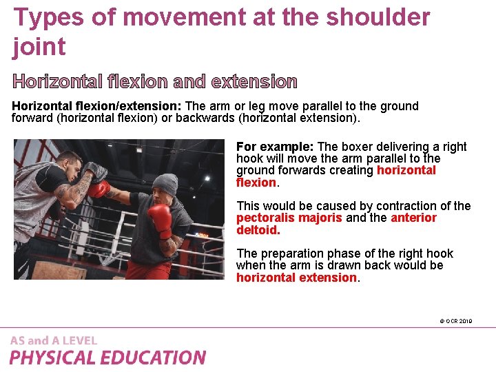 Types of movement at the shoulder joint Horizontal flexion and extension Horizontal flexion/extension: The