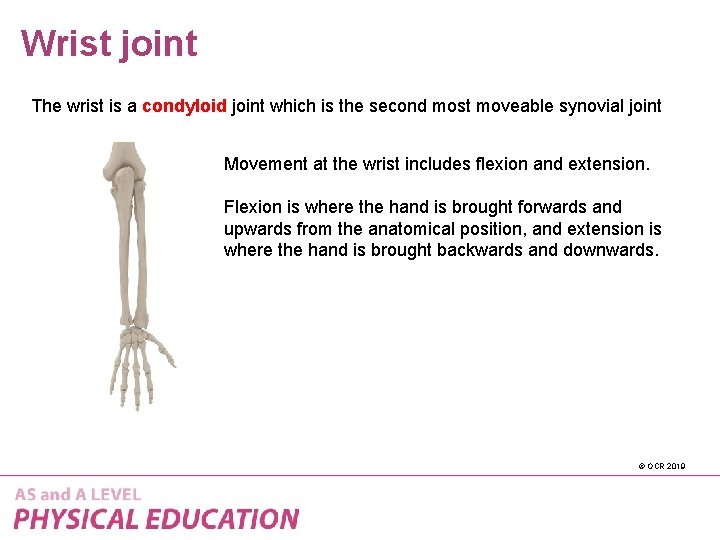 Wrist joint The wrist is a condyloid joint which is the second most moveable
