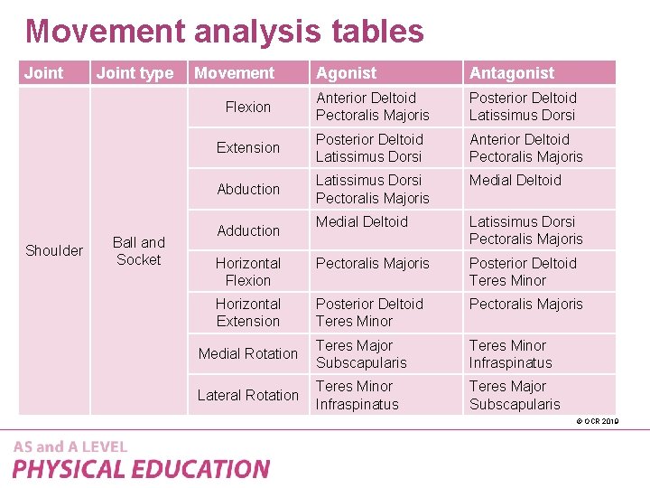 Movement analysis tables Joint Shoulder Joint type Ball and Socket Movement Agonist Antagonist Flexion