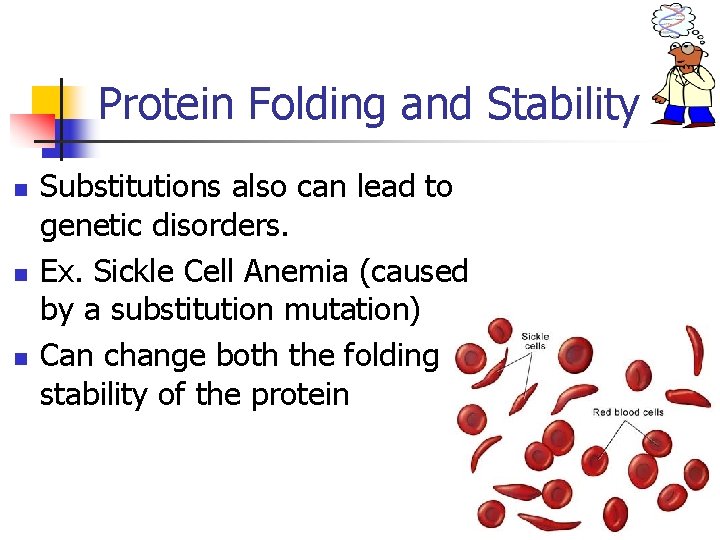 Protein Folding and Stability n n n Substitutions also can lead to genetic disorders.