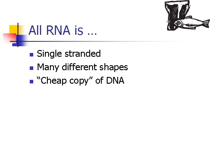 All RNA is … n n n Single stranded Many different shapes “Cheap copy”