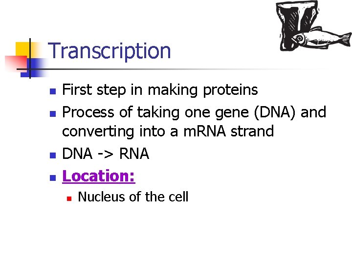 Transcription n n First step in making proteins Process of taking one gene (DNA)