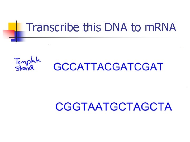 Transcribe this DNA to m. RNA 