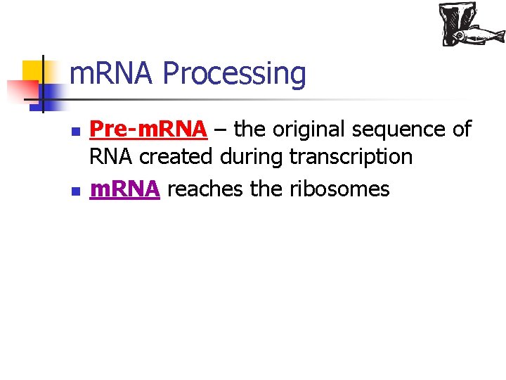 m. RNA Processing n n Pre-m. RNA – the original sequence of RNA created