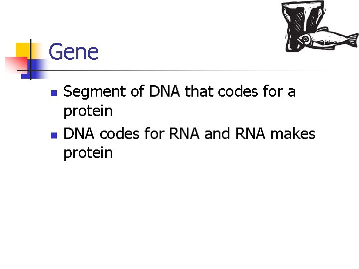 Gene n n Segment of DNA that codes for a protein DNA codes for