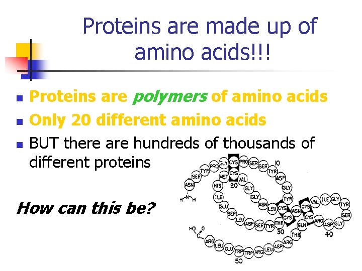 Proteins are made up of amino acids!!! n n n Proteins are polymers of