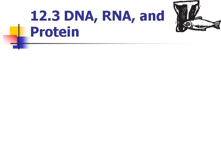 12. 3 DNA, RNA, and Protein 