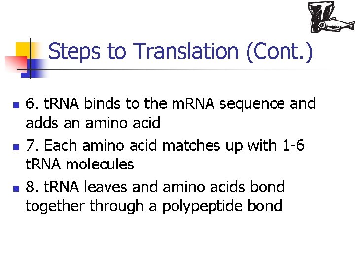 Steps to Translation (Cont. ) n n n 6. t. RNA binds to the