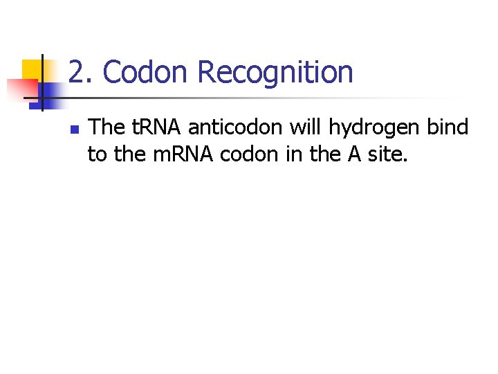 2. Codon Recognition n The t. RNA anticodon will hydrogen bind to the m.