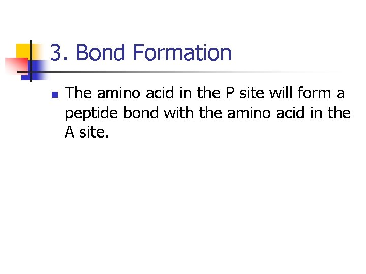 3. Bond Formation n The amino acid in the P site will form a