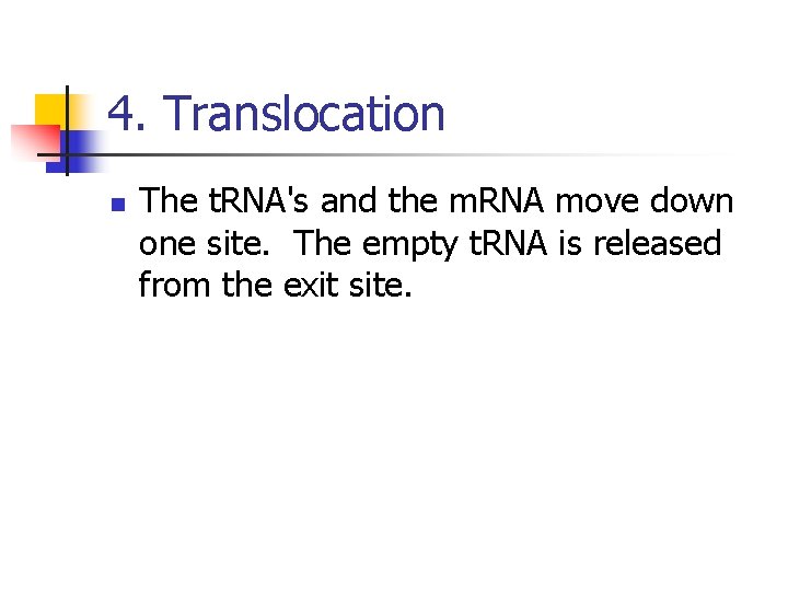 4. Translocation n The t. RNA's and the m. RNA move down one site.