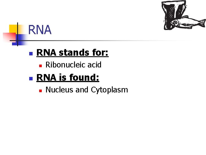 RNA n RNA stands for: n n Ribonucleic acid RNA is found: n Nucleus