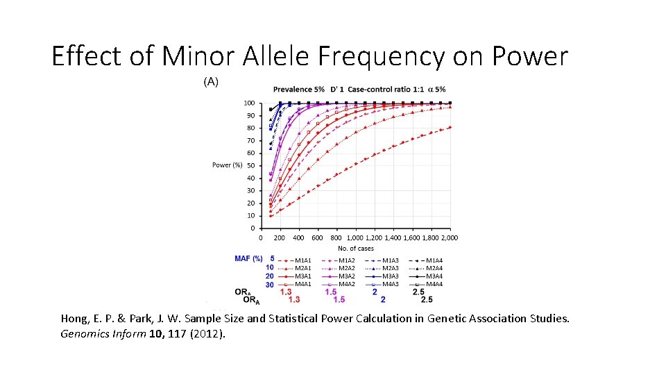 Effect of Minor Allele Frequency on Power Hong, E. P. & Park, J. W.