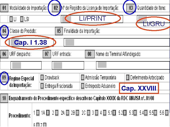 LI/PRINT LI/GRU Cap. I 1. 38 Cap. XXVIII Agência Nacional de Vigilância Sanitária www.