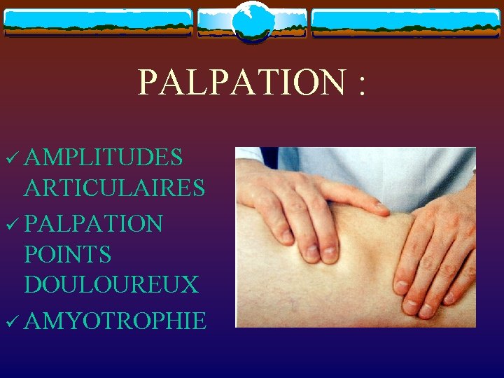 PALPATION : ü AMPLITUDES ARTICULAIRES ü PALPATION POINTS DOULOUREUX ü AMYOTROPHIE 