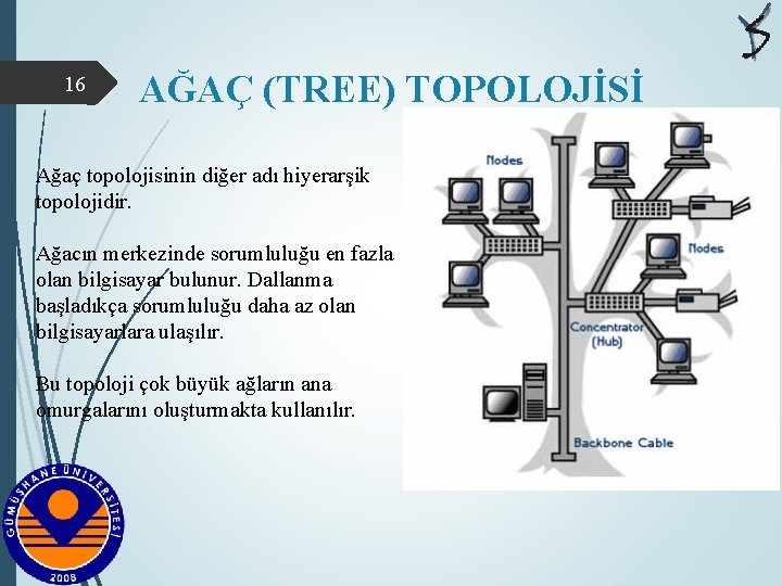 16 AĞAÇ (TREE) TOPOLOJİSİ Ağaç topolojisinin diğer adı hiyerarşik topolojidir. Ağacın merkezinde sorumluluğu en