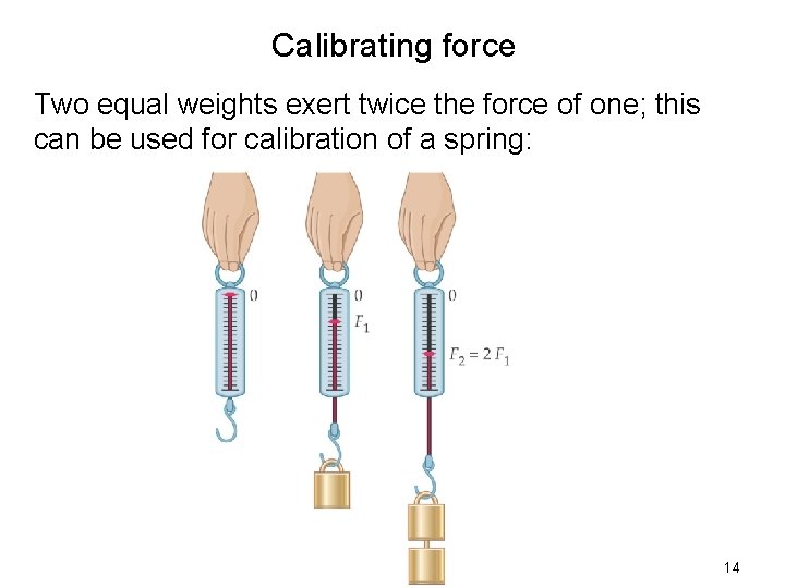 Calibrating force Two equal weights exert twice the force of one; this can be