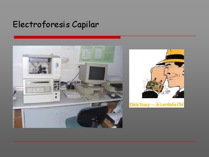 Electroforesis Capilar 