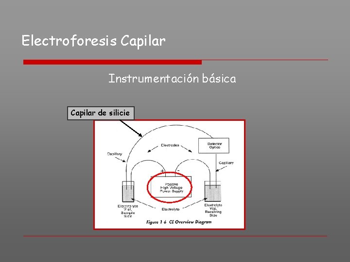Electroforesis Capilar Instrumentación básica Capilar de silicie 