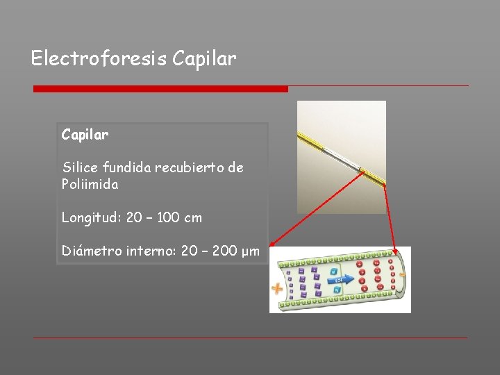 Electroforesis Capilar Silice fundida recubierto de Poliimida Longitud: 20 – 100 cm Diámetro interno: