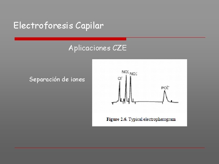 Electroforesis Capilar Aplicaciones CZE Separación de iones 