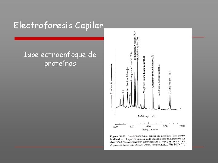 Electroforesis Capilar Isoelectroenfoque de proteínas 