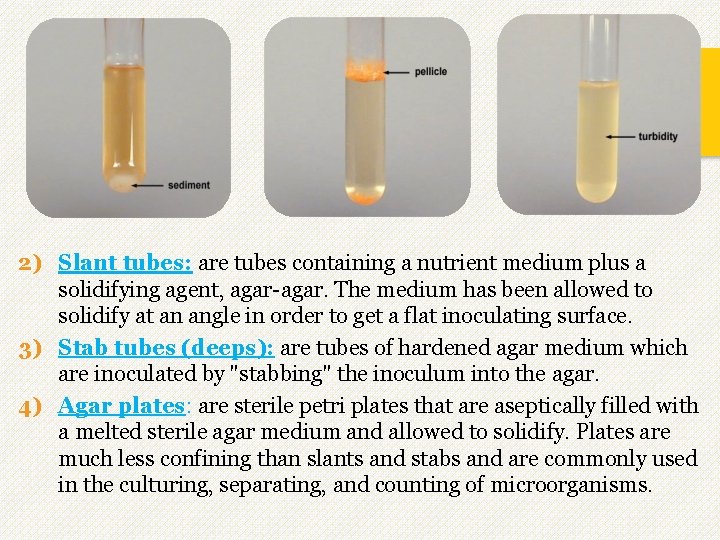 2) Slant tubes: are tubes containing a nutrient medium plus a solidifying agent, agar-agar. 2) Slant tubes: are tubes containing a nutrient medium plus a solidifying agent, agar-agar.