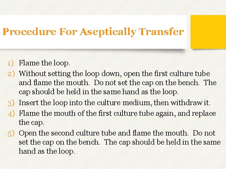 Procedure For Aseptically Transfer 1) Flame the loop. 2) Without setting the loop down, Procedure For Aseptically Transfer 1) Flame the loop. 2) Without setting the loop down,