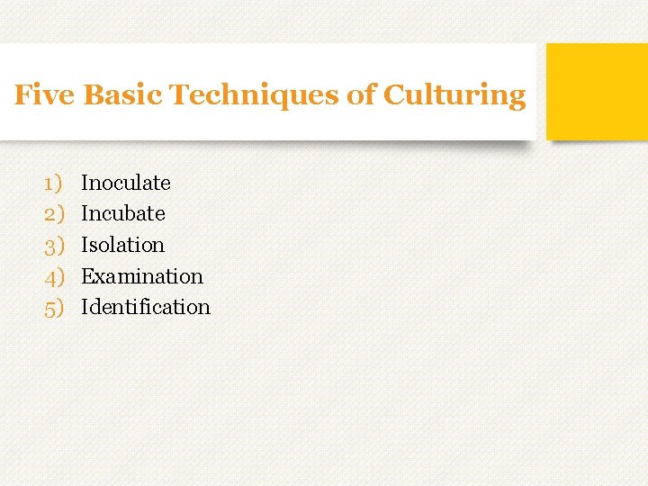 Five Basic Techniques of Culturing 1) 2) 3) 4) 5) Inoculate Incubate Isolation Examination Five Basic Techniques of Culturing 1) 2) 3) 4) 5) Inoculate Incubate Isolation Examination
