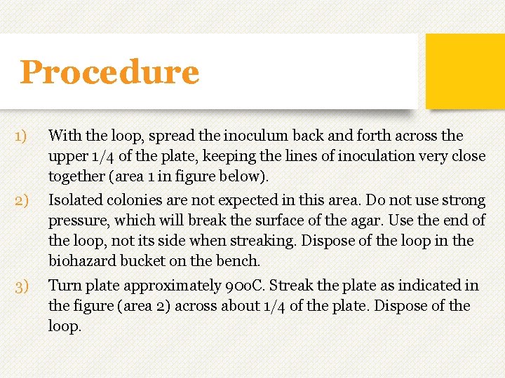 Procedure 1) With the loop, spread the inoculum back and forth across the upper Procedure 1) With the loop, spread the inoculum back and forth across the upper