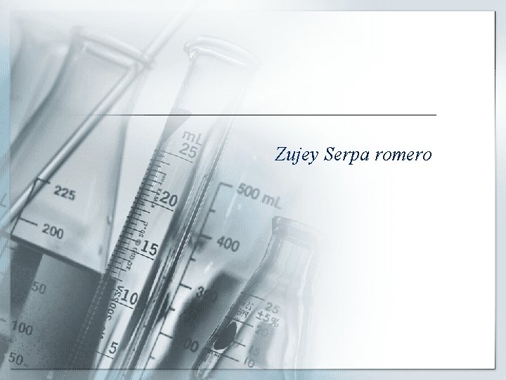 Zujey Serpa romero 