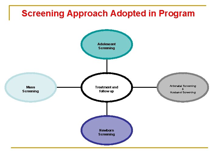 Screening Approach Adopted in Program Adolescent Screening Mass Screening Treatment and follow up Newborn