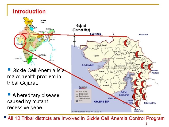 Introduction § Sickle Cell Anemia is a major health problem in tribal Gujarat. §