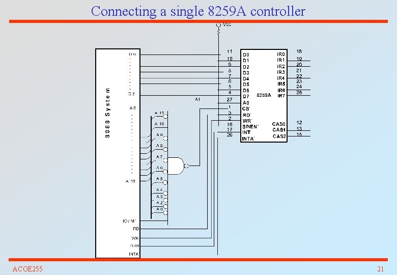Connecting a single 8259 A controller ACOE 255 21 