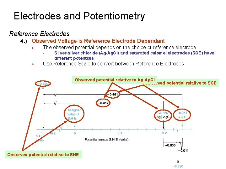 Electrodes and Potentiometry Reference Electrodes 4. ) Observed Voltage is Reference Electrode Dependant Ø Electrodes and Potentiometry Reference Electrodes 4. ) Observed Voltage is Reference Electrode Dependant Ø