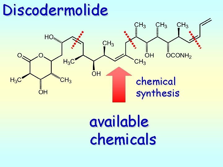 Discodermolide chemical synthesis available chemicals 