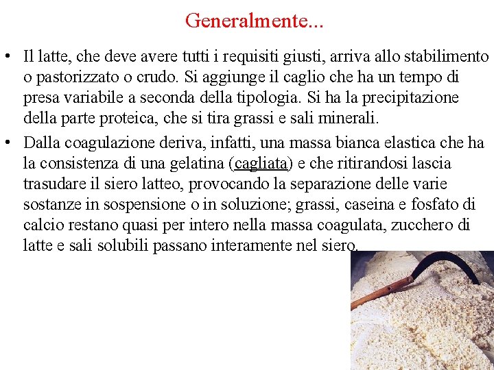 Generalmente. . . • Il latte, che deve avere tutti i requisiti giusti, arriva