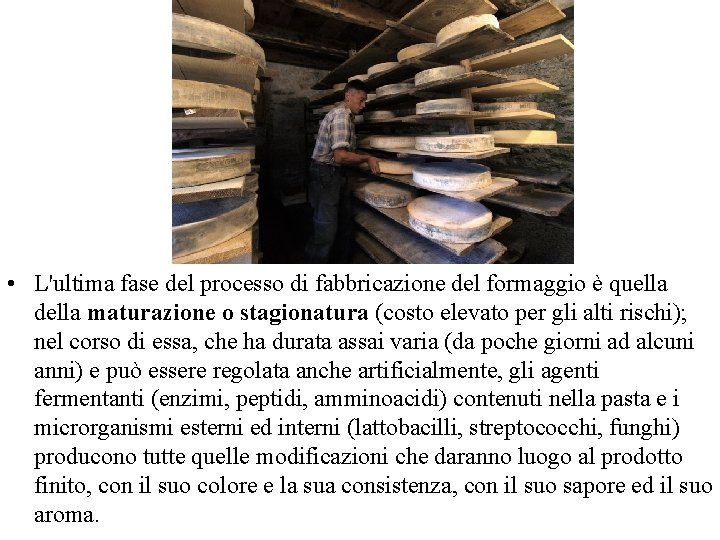  • L'ultima fase del processo di fabbricazione del formaggio è quella della maturazione